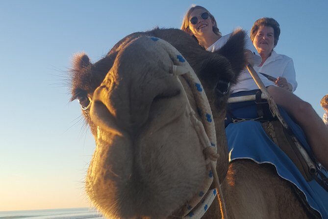 1 Hour Broome Sunset Camel Tour - The Real Traveler Experience