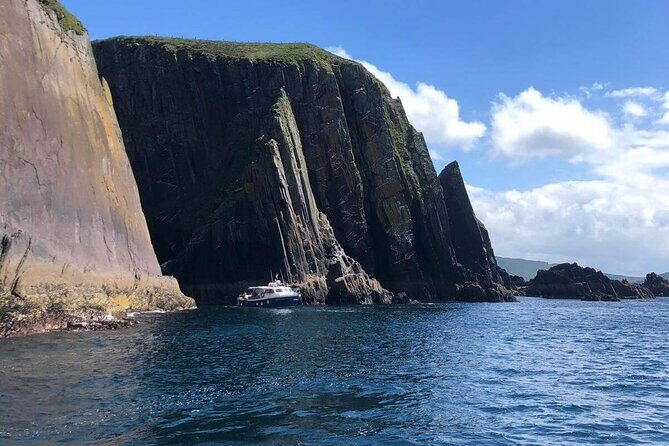 1 hour Dingle Bay Cliff Tour - The Practical Side: Price, Group Size, and Booking