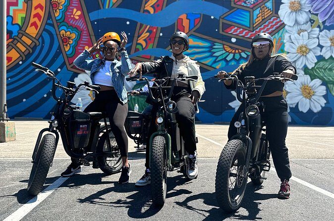 1-Hour Electric Bike Rental in Dallas - The Sum Up: Who Will Love This?