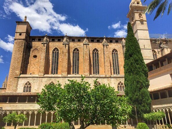 1 Hour Electric Scooter Tour in Palma - Key Points