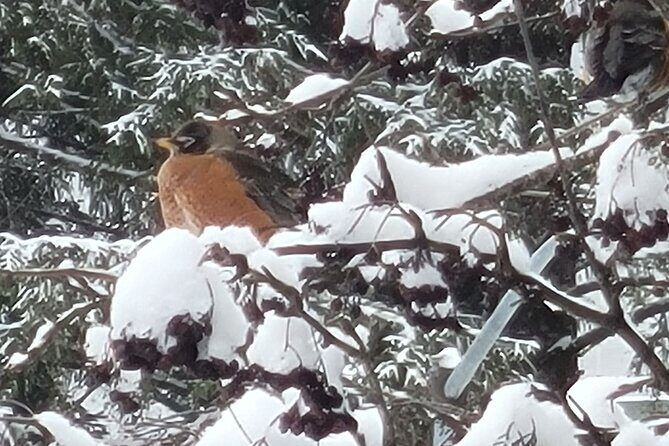 1 Hour Escape Room in Wrangell Private Activity - What to Expect from Your Wrangell Escape