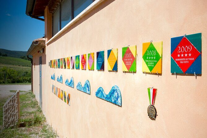 1-Hour Experience with Brunello. Visit to the Vineyard and Cellar - Key Points