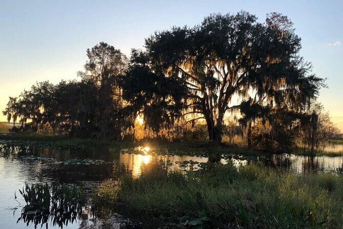 1 Hour Florida Everglades Wildlife Tour - What to Expect on a 1-Hour Florida Everglades Wildlife Tour
