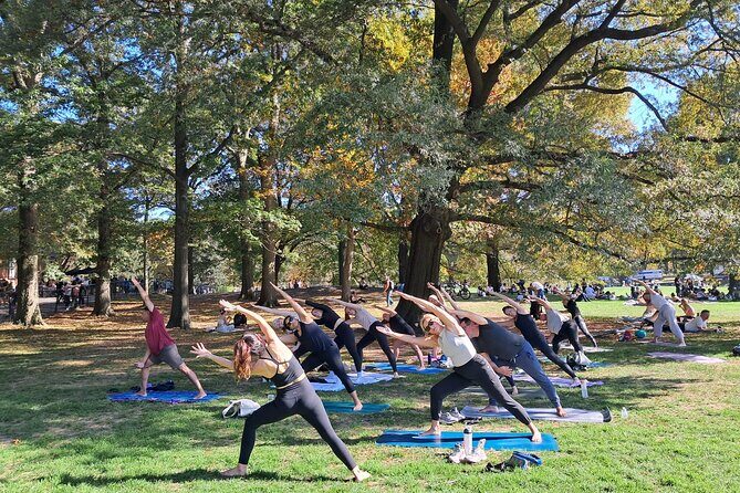 1 Hour Group Yoga Class in Central Park - A Relaxing Break in NYC: 1 Hour Group Yoga Class in Central Park