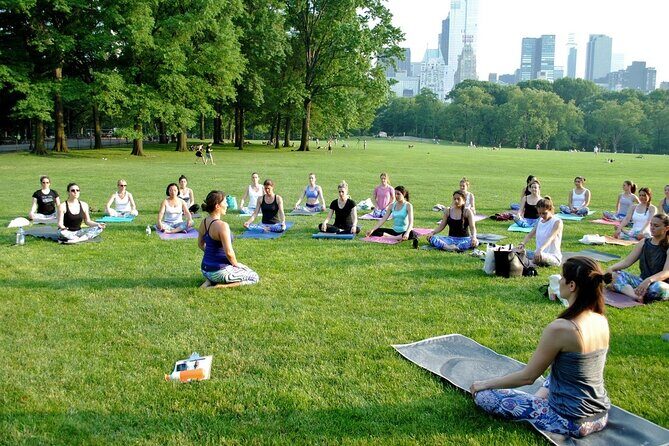 1 Hour Group Yoga Class in Central Park - The Experience Itself: a Breath of Fresh Air