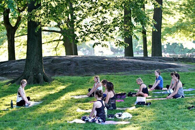 1 Hour Group Yoga Class in Central Park - Practical Tips for Your Yoga Experience