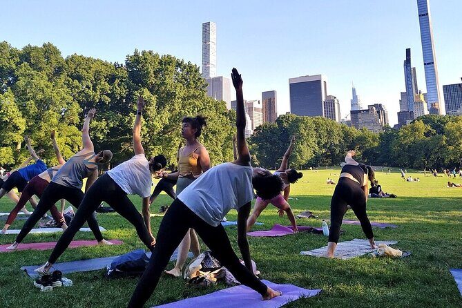 1 Hour Group Yoga Class in Central Park - Who Should Consider This Experience?