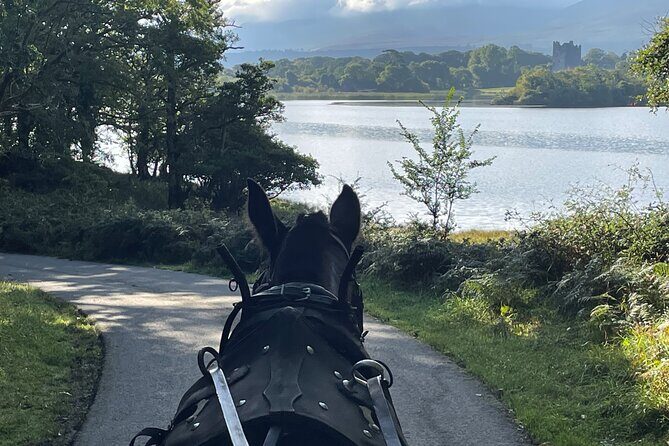 1 Hour Guided Carriage Tour in Killarney National Park - Who Should Consider This Tour?