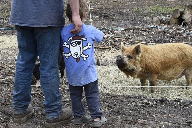 1 Hour Guided Farm Tour in the Adirondacks - Key Points