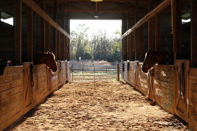 1 Hour Guided Horseback Trail Ride Rock Springs Run State Reserve - What to Expect from the Tour