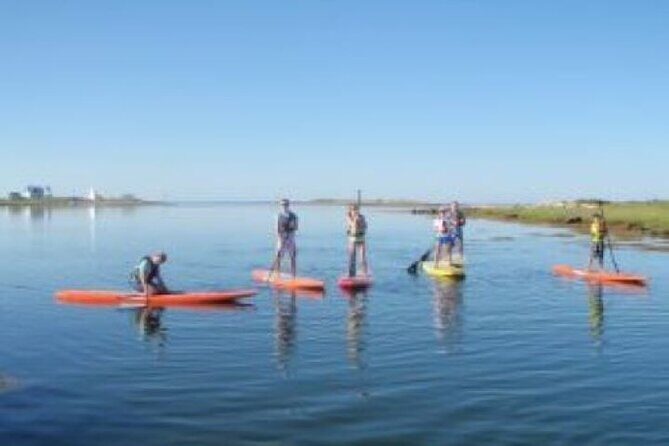 1 Hour Guided SUP/Kayak Tour in Pelican Bay at Fort Myers Beach - The Itinerary Breakdown