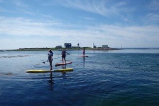1 Hour Guided SUP/Kayak Tour in Pelican Bay at Fort Myers Beach - Who Should Consider This Tour?