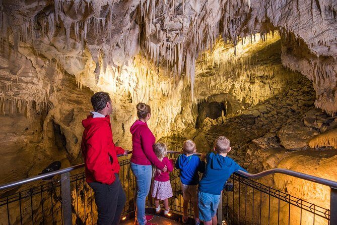 1-Hour Guided Tour of Aranui Cave Waitomo - Who Is This Tour Best For?
