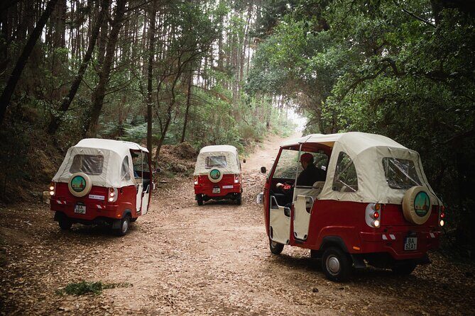 1-Hour Guided Tuk-Tuk Tour in Sintra - The Sum Up