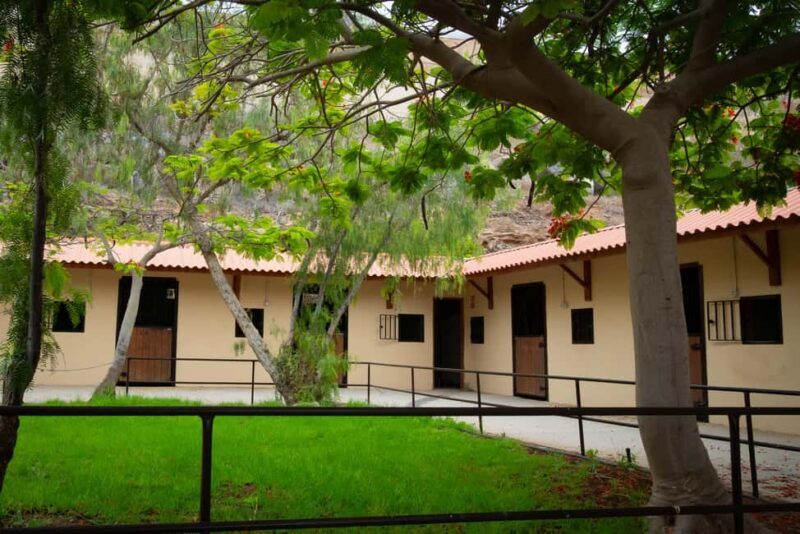 1-hour horseback ride in the south of Tenerife - Practical Info: Logistics and Tips