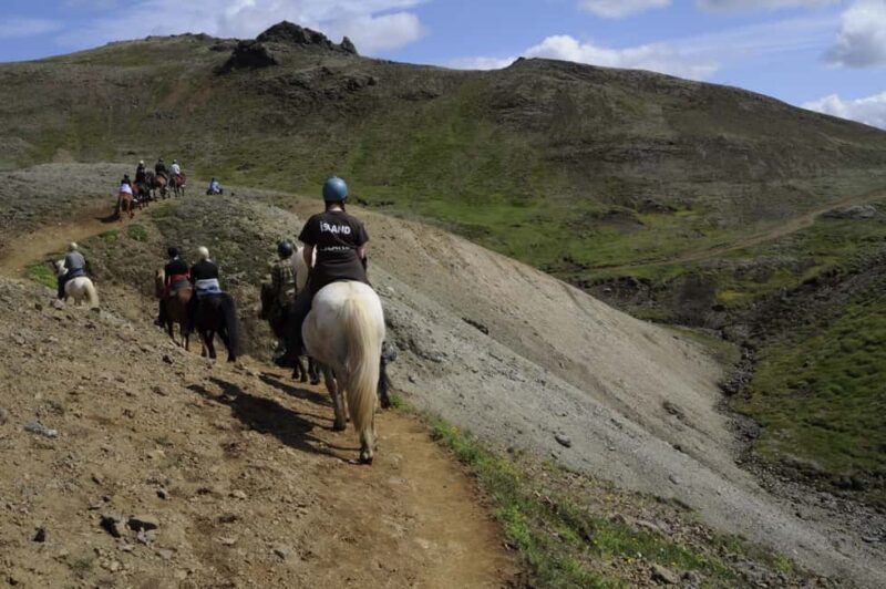 1-hour horseback ride in the south of Tenerife - What About Price and Value?