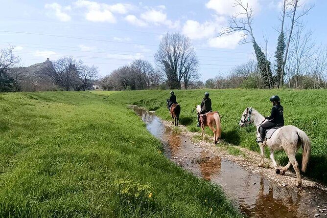 1 hour horseback ride in Valgraziosa Pisa - An Inside Look at the Horseback Ride Experience