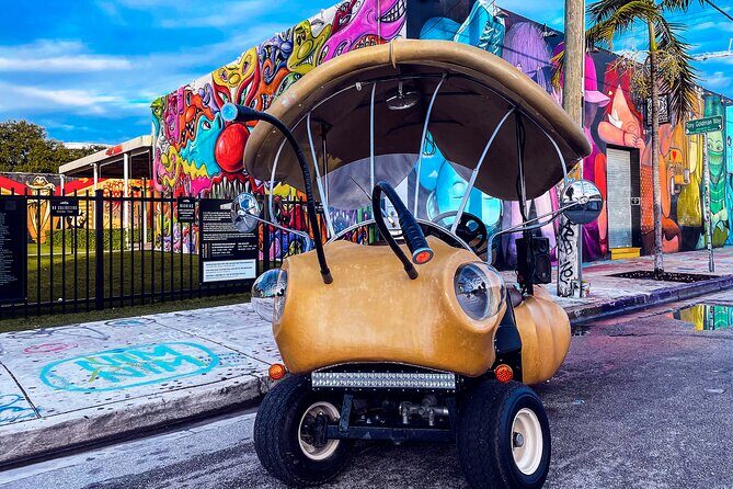 1 Hour Lady Buggy Art Tour Experience in Wynwood - What to Expect from the Wynwood Lady Buggy Tour