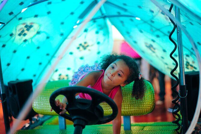 1 Hour Lady Buggy Art Tour Experience in Wynwood - Practical Details