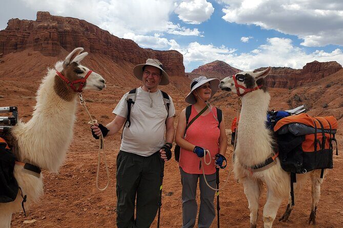 1-Hour Llama Hike Family Friendly and Fun - A Closer Look at the Experience