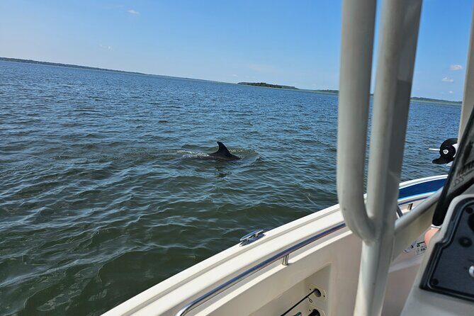1 Hour Private Dolphin and Nature Tour - The Itinerary: A Closer Look at What Youll See