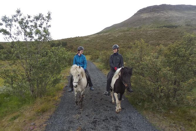 1+ hour Private Horse riding tour from Reykjavík/Mosfellsbær - An Introduction to the Horse Riding Experience in Iceland