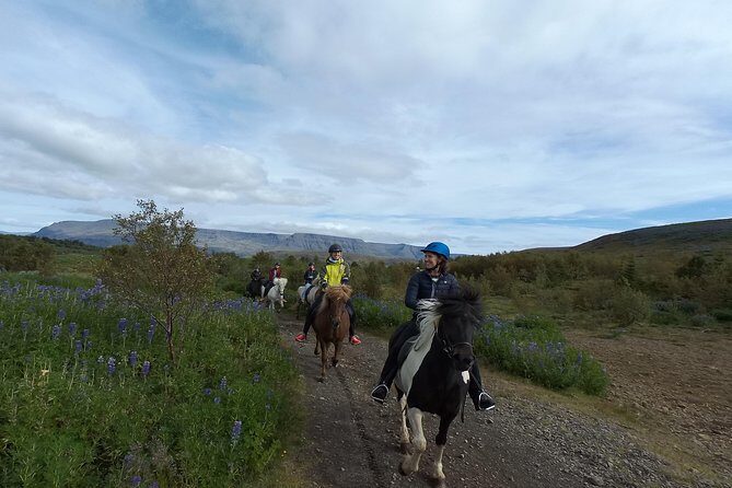 1+ hour Private Horse riding tour from Reykjavík/Mosfellsbær - Why This Horse Riding Tour Stands Out