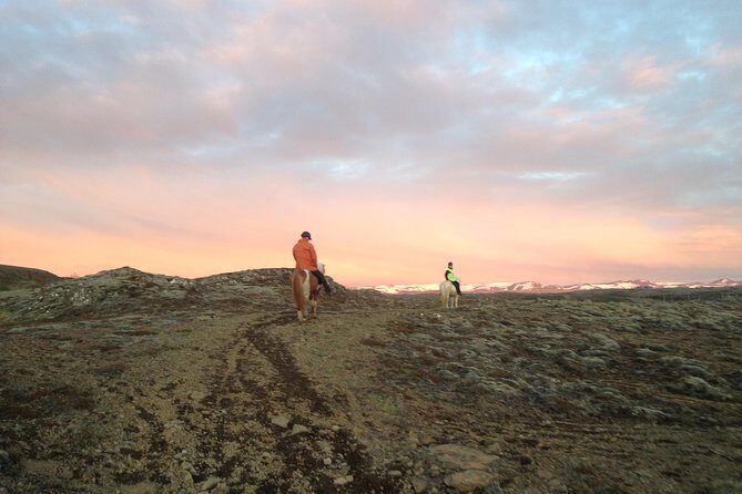 1+ hour Private Horse riding tour from Reykjavík/Mosfellsbær - Practical Details and What to Expect