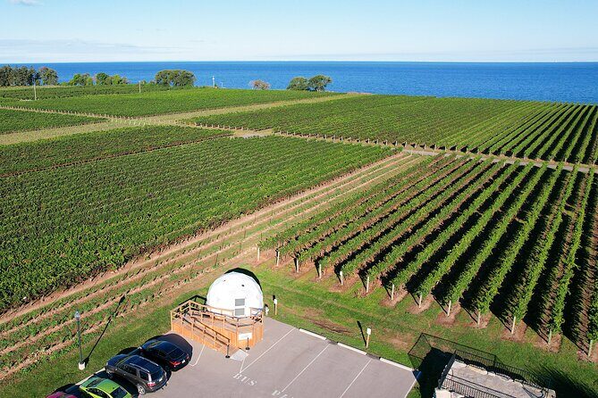 1 Hour Private Vineyard Dome Experience in Niagara-on-the-Lake - The Itinerary: How the Hour Unfolds