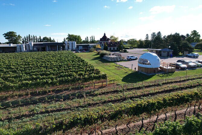 1 Hour Private Vineyard Dome Experience in Niagara-on-the-Lake - Price and Value: Is It Worth It?