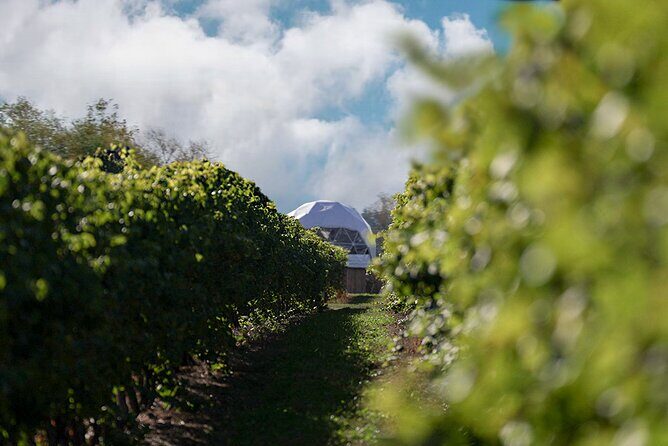 1 Hour Private Vineyard Dome Experience in Niagara-on-the-Lake - The Sum Up: Is It Worth Your Time?