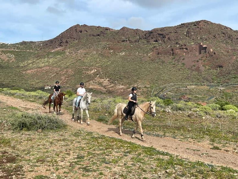 1 hour relaxing horse riding tour in Gran Canaria - Key Points