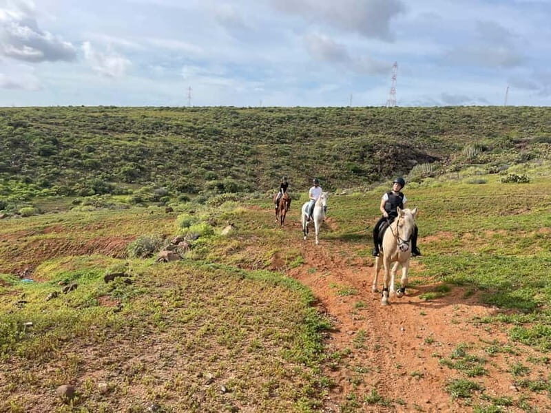 1 hour relaxing horse riding tour in Gran Canaria - Pricing and Value