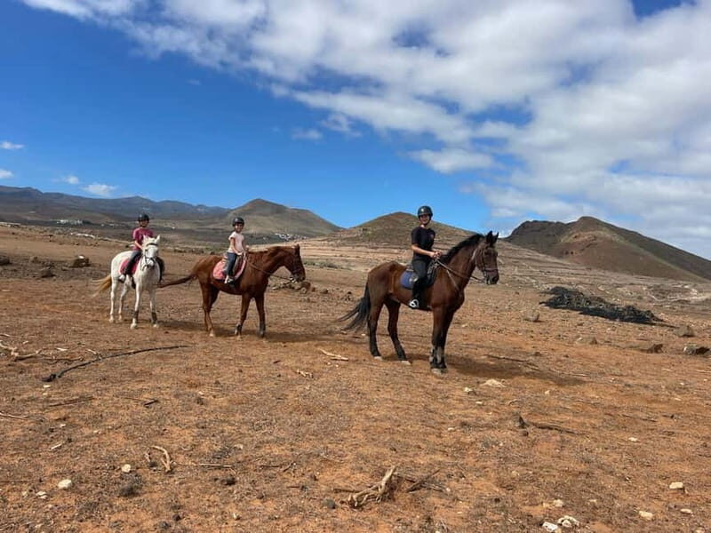 1 hour relaxing horse riding tour in Gran Canaria - Rider Experience and Reviews