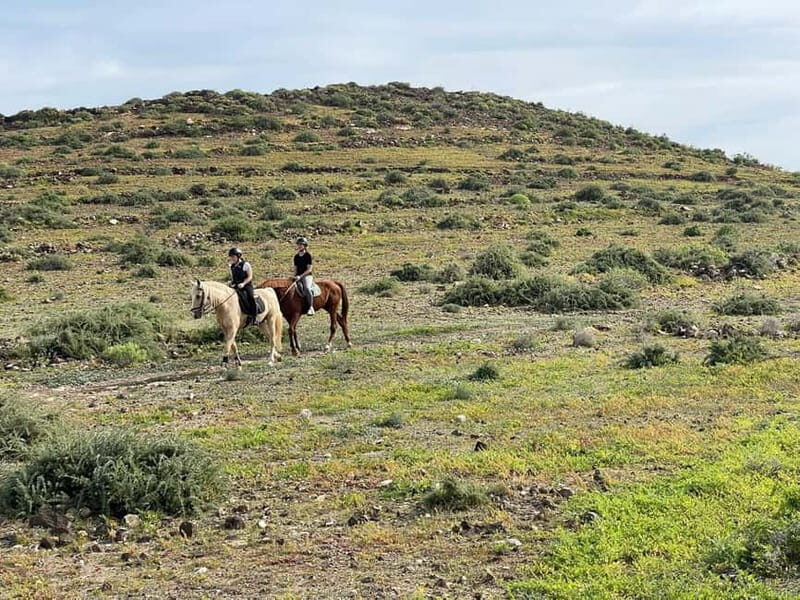 1 hour relaxing horse riding tour in Gran Canaria - Who is this tour best suited for?
