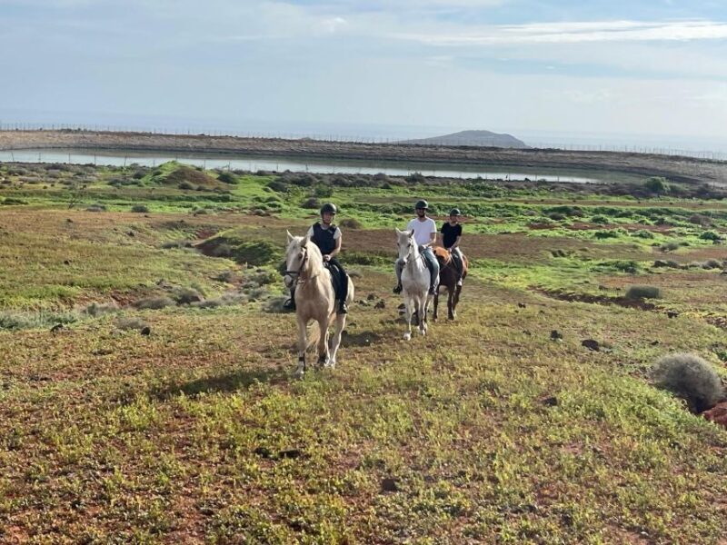 1 hour relaxing horse riding tour in Gran Canaria - Practical Tips for Your Ride
