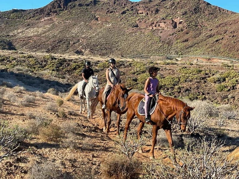 1 hour relaxing horse riding tour in Gran Canaria - FAQs
