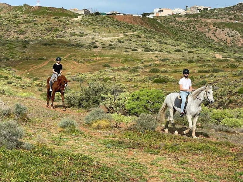 1 hour relaxing horse riding tour in Gran Canaria - Final thoughts