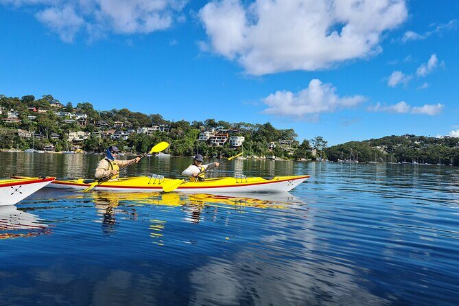 1 Hour Rental in a Deluxe Double Sea Kayak - What to Expect from Your 1-Hour Kayaking Experience