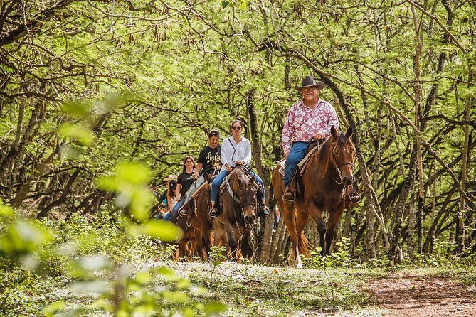 1 Hour Scenic Horseback Ride - Discover Oahu on Horseback: An Honest Look at the 1 Hour Scenic Ride