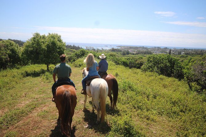 1 Hour Scenic Horseback Ride - An Honest Look at the 1-Hour Scenic Horseback Ride in Oahu