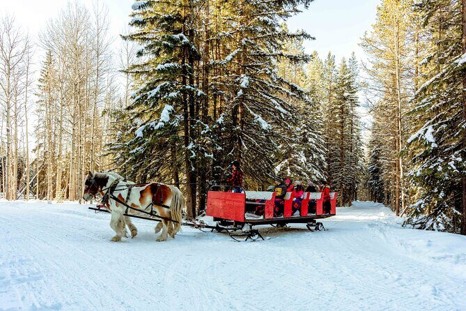1 Hour Shared Winter Sleigh Ride Experience in Kananaskis - What Travelers Are Saying