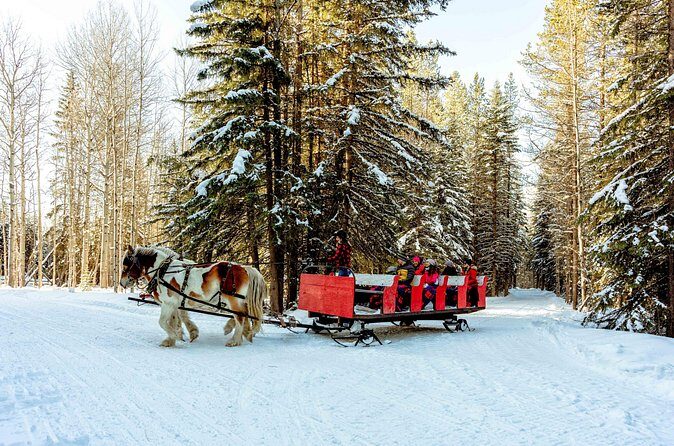 1 Hour Shared Winter Sleigh Ride Experience in Kananaskis - Who Is This Tour Best For?