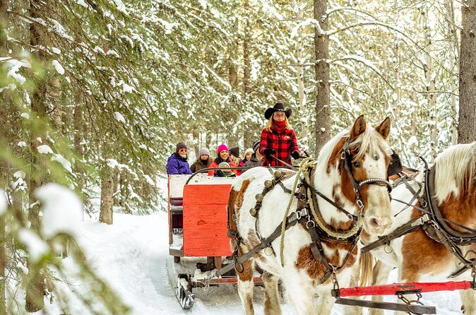 1 Hour Shared Winter Sleigh Ride Experience in Kananaskis - Final thoughts