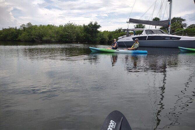 1-Hour Single Kayak Rental with Manatee & Dolphin sightings - Who Should Consider This?
