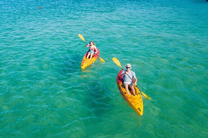 1 Hour Single or Double Kayak Rental to the Nth Bribie Island - Key Points