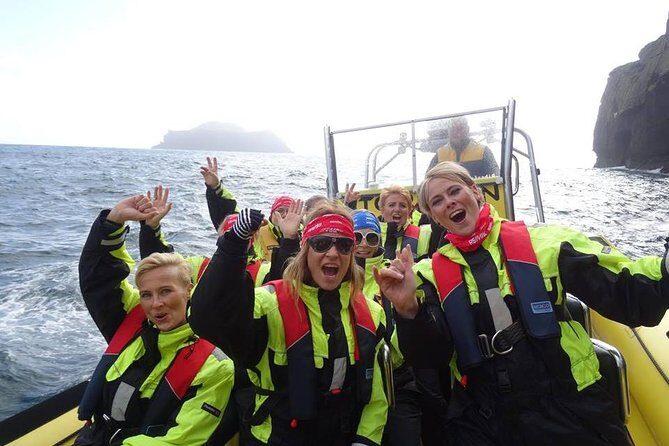 1-Hour Small Group Sightseeing Boat Tour in Vestmannaeyjar - Key Points