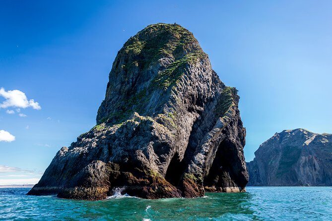 1-Hour Small Group Sightseeing Boat Tour in Vestmannaeyjar - FAQ