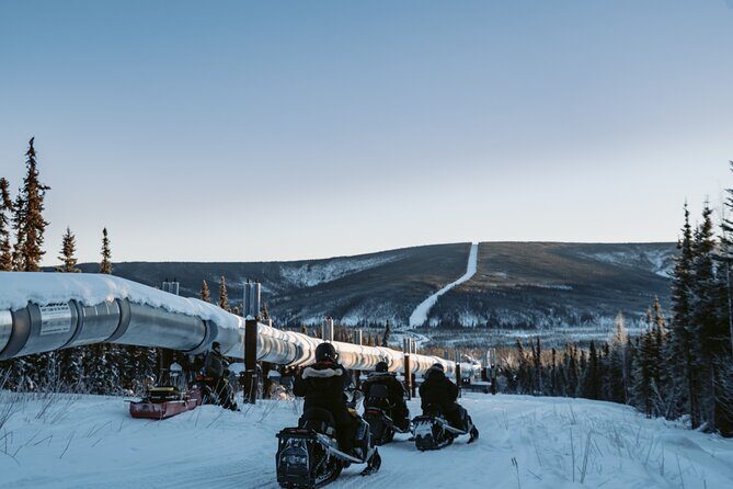 1 Hour Snowmobile Adventure in Boreal Forest - Experience a 1-Hour Snowmobile Ride in the Boreal Forest Near Fairbanks