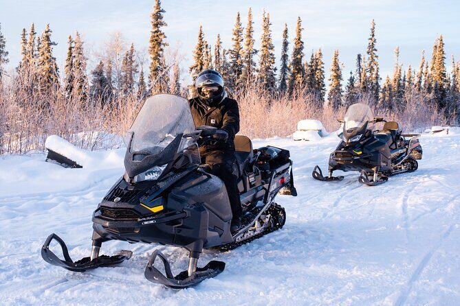 1 Hour Snowmobile Adventure in Boreal Forest - Who Will Love This Tour?